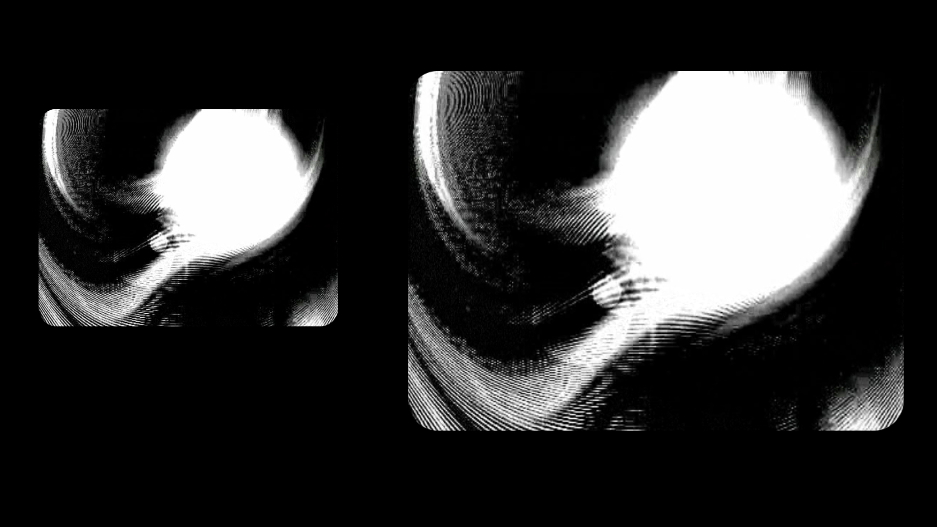 4383_Foetus 2.jpg 4383_Foetus 2.jpg